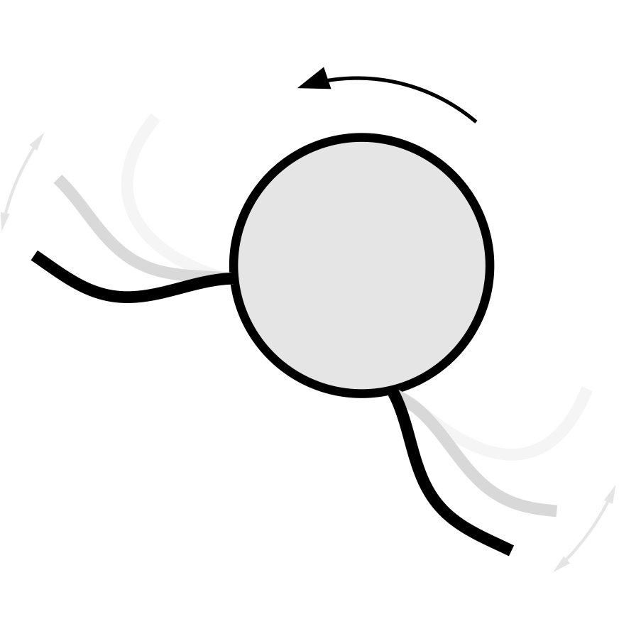 An example shape-changing swimmer being rotated by a background flow.